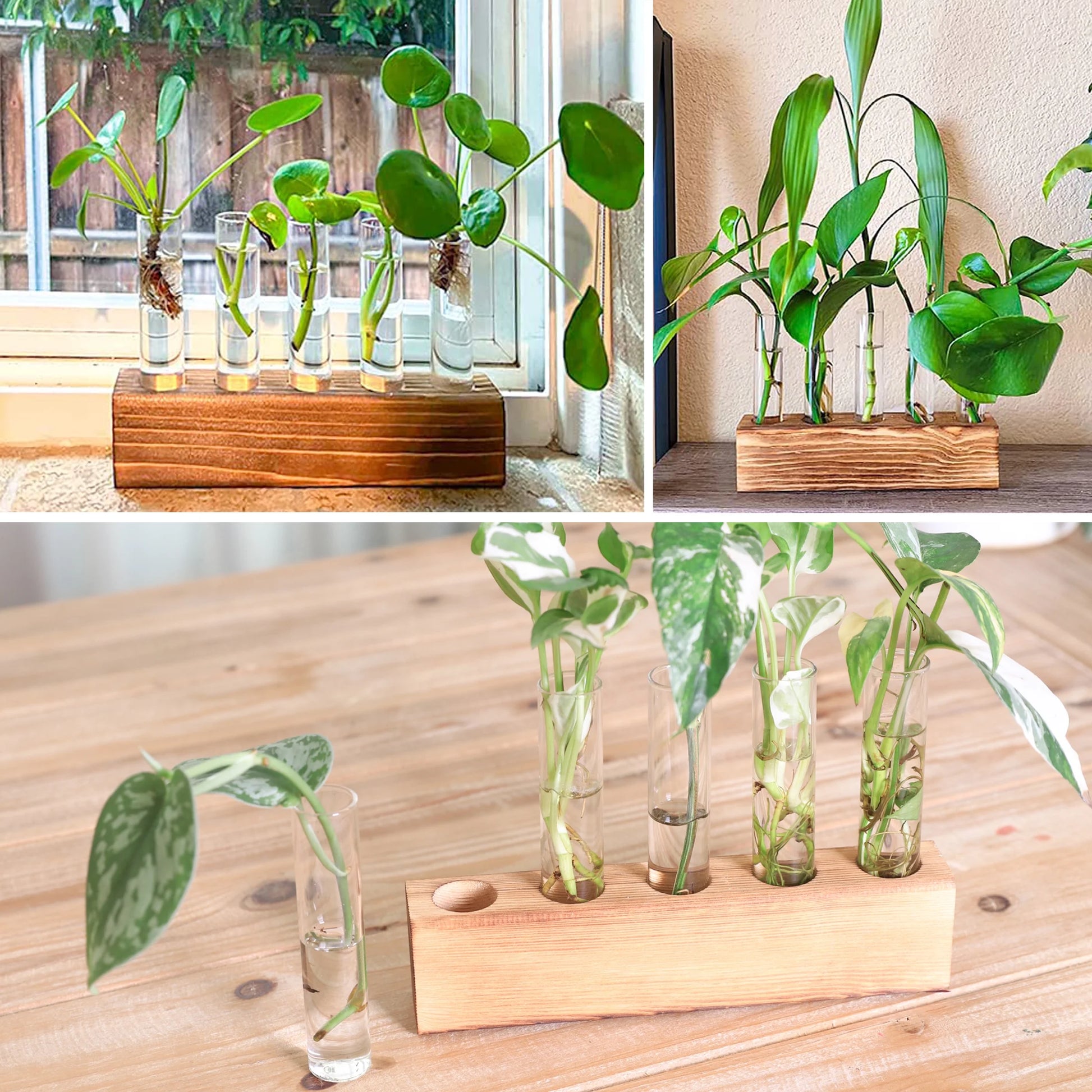 5 PCS Glass Test Tube Vases Plant Propagation Stations, Desktop Glass Plant Terrarium with Wooden Stand for Office Home Garden Wedding