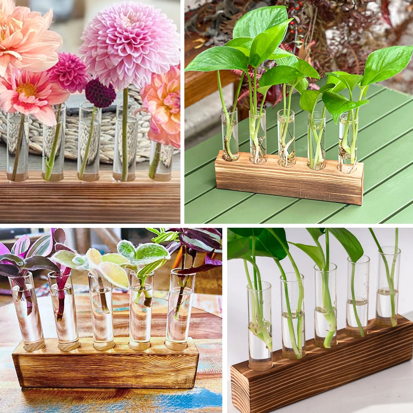 5 PCS Glass Test Tube Vases Plant Propagation Stations, Desktop Glass Plant Terrarium with Wooden Stand for Office Home Garden Wedding