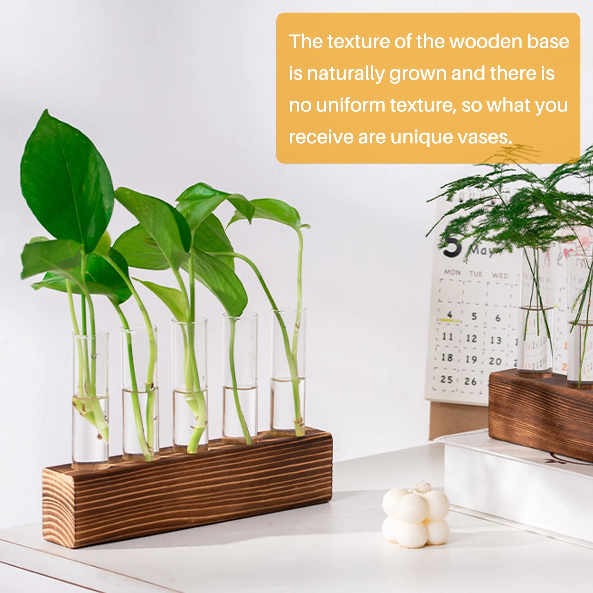 5 PCS Glass Test Tube Vases Plant Propagation Stations, Desktop Glass Plant Terrarium with Wooden Stand for Office Home Garden Wedding